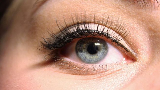 Cara alami Merawat Indera Penglihatan